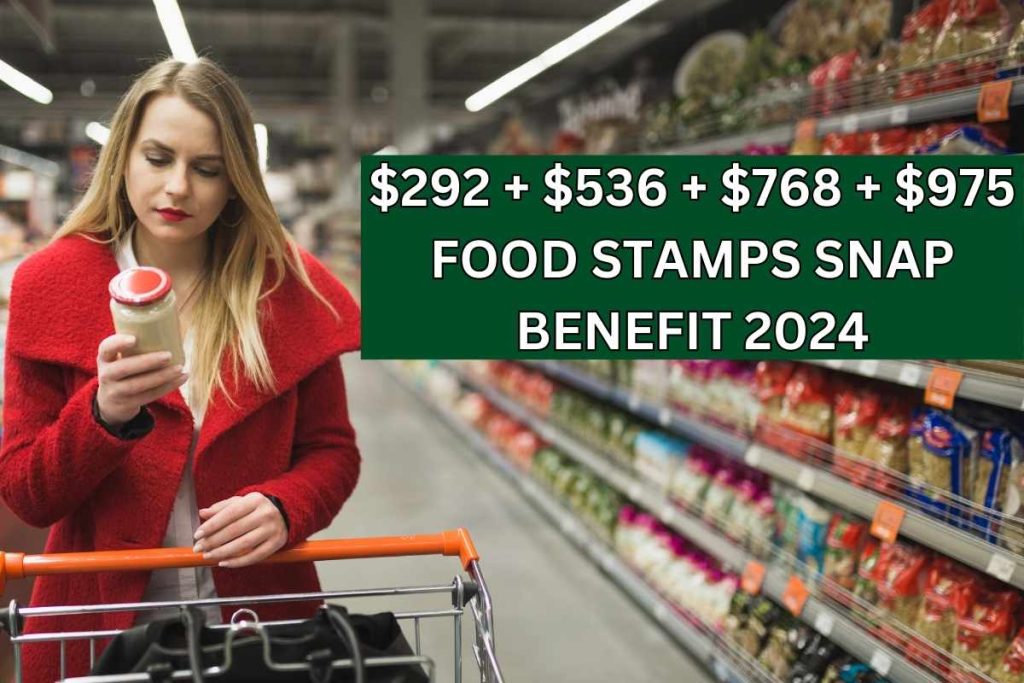 $292 + $536 + $768 + $975 Food Stamps SNAP Benefit 2024